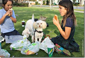 National Picnic Day Subway Poodle Dog Nanny National Picnic Day Subway Poodle Dog Nanny