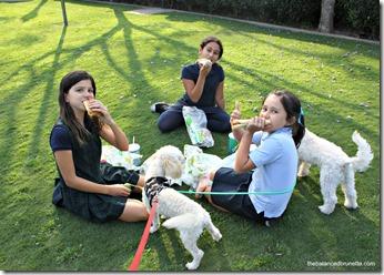 National Picnic Day Subway Nanny National Picnic Day Subway Nanny