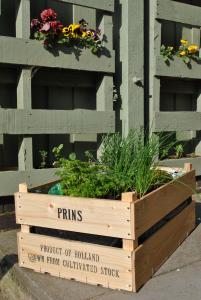 Herb garden and pallet planter