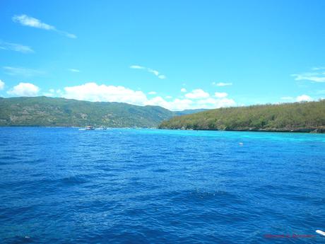Project BLUE Sumilon Bluewater Island Resort