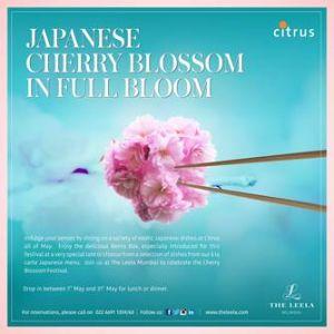 Japanese Cherry Blossom Festival at The Leela Mumbaiâs Citrus