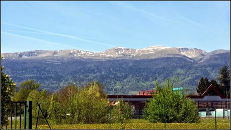 The garden in Ornex The garden in Ornex