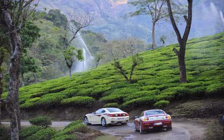 Munnar - an interesting place with awesome climate