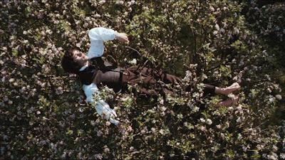 HIT ME WITH YOUR BEST SHOT: Bright Star HIT ME WITH YOUR BEST SHOT: Bright Star