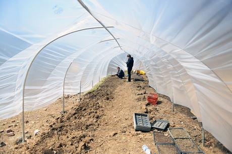 An Easter Egg Hunt on the Farm An Easter Egg on the Farm // www.WithTheGrains.com