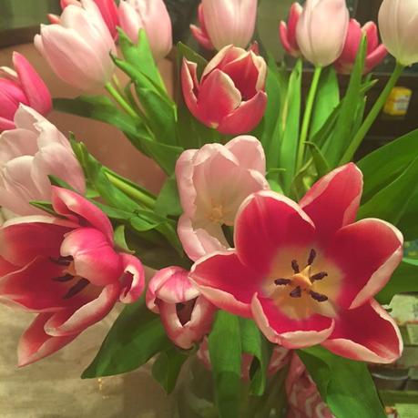 April Favorites 2015 - ColourPop, Nails Inc, Cover FX, RMS Beauty & more! April Favorites 2015 - ColourPop, Nails Inc, Cover FX, RMS Beauty & more!