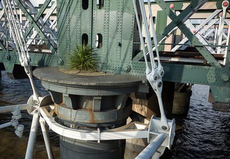 Last Day ~A Walk Along the Thames~ #BriFri Hungerford Bridge