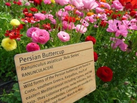 Cornwall - a Day Out to The Eden Project Cornwall - a Day Out to The Eden Project