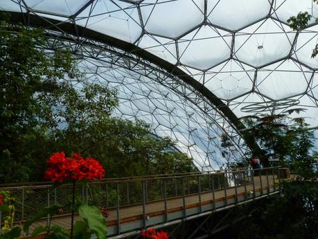 Eden Canopy Walkway Eden Canopy Walkway