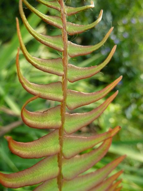 Cornwall - a Day Out to The Eden Project Cornwall - a Day Out to The Eden Project