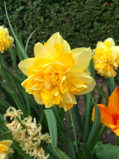 The Parterre - a Revisit to Hanbury Hall National Trust Property The Parterre - a Revisit to Hanbury Hall National Trust Property