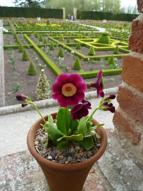 The Parterre - a Revisit to Hanbury Hall National Trust Property The Parterre - a Revisit to Hanbury Hall National Trust Property