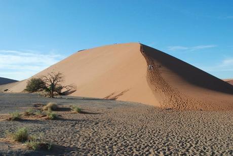5 Rules for Climbing Dune 45 in Namibia