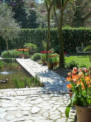 Tulips in the Italian Sunken Garden Tulips in the Italian Sunken Garden
