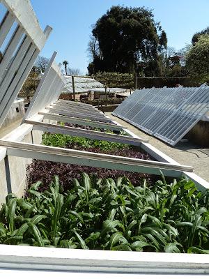 Impressive Cold Frames Impressive Cold Frames