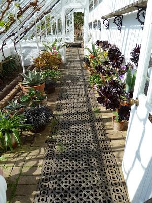 Victorian Heated Greenhouse Victorian Heated Greenhouse