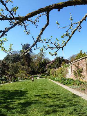 Heligan Northern Gardens Heligan Northern Gardens