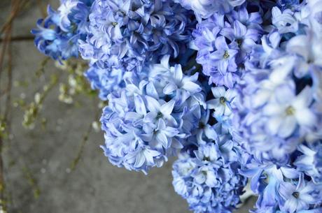 Sweet Scented Hyacinths on a Special Day! Sweet Scented Hyacinths on a Special Day!
