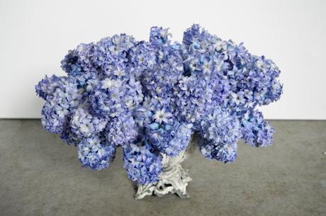 Sweet Scented Hyacinths on a Special Day! Sweet Scented Hyacinths on a Special Day!