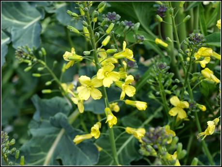 The PSB bows out The PSB bows out