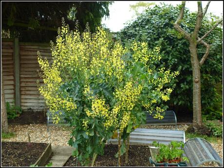 The PSB bows out The PSB bows out