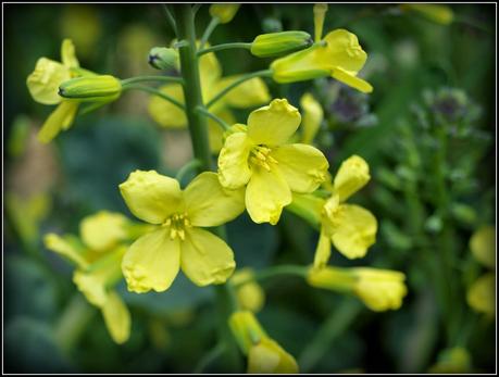 The PSB bows out The PSB bows out