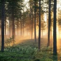 5 things to do in gay Sweden this summer 5 things to do in gay Sweden this summer