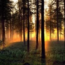 Tomas_Utsi_IBS_midnighgsun_HR_100_70 5 things to do in gay Sweden this summer