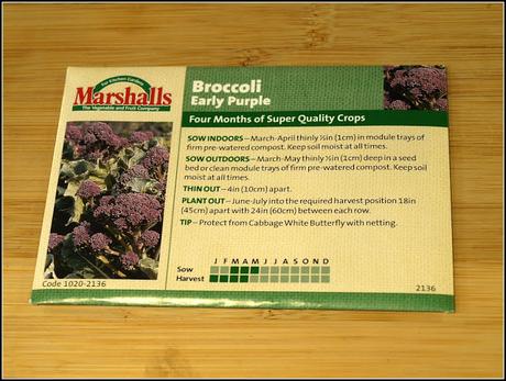 Sowing Purple Sprouting Broccoli