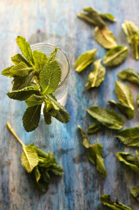 Mint (Pudhina): Benefits: How To Include It In Your Diet: Tips For Weight Loss: And  Recipes Ideas