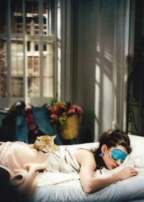 @Catherine Walker @Anna RM @Naz Deyhim I want a photo like this and instead of the cat, I want it to be with Vida.  I wish I looked like this when I sleep.