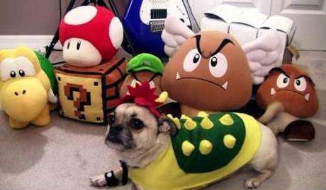 Top 10 Animals in Bowser Fancy Dress Costumes Top 10 Animals in Bowser Fancy Dress Costumes