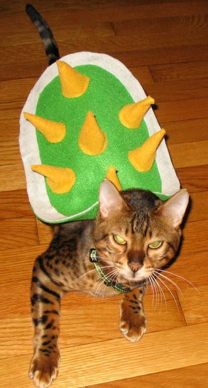 Top 10 Animals in Bowser Fancy Dress Costumes Top 10 Animals in Bowser Fancy Dress Costumes