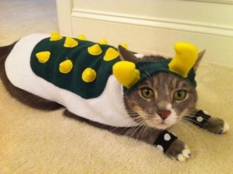 Top 10 Animals in Bowser Fancy Dress Costumes Top 10 Animals in Bowser Fancy Dress Costumes