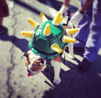 Top 10 Animals in Bowser Fancy Dress Costumes Top 10 Animals in Bowser Fancy Dress Costumes