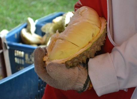 Essential Eating Guide to Asia Durian in Thailand, Top 50 Foods of Asia, Asian Food Guide