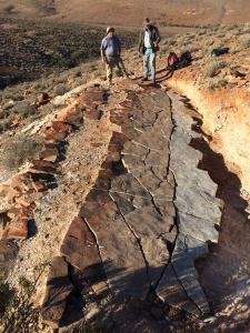 Dawn of life Guy Narbonne & Jim Gehling looking over a jigsaw puzzle of sandstone containing hundreds of fossils.