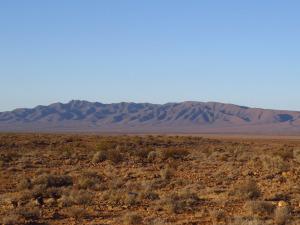 Dawn of life Looking east toward the northern Flinders Ranges from Ediacara Conservation Park. © CJA Bradshaw