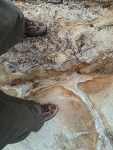 Dawn of life My right foot in the Ediacaran; my left in the Cambrian; 10 million years between my legs. © CJA Bradshaw