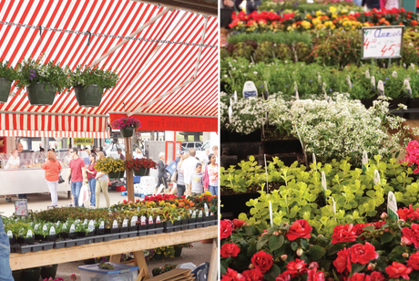 Spring Style in the Loop Farmer's Market Fun | Francois et Moi