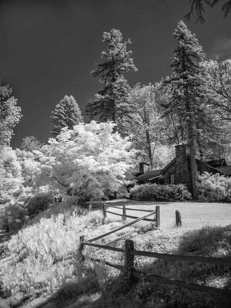 InfraRed Image 1