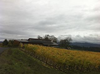 PennerAshTR Red Thread™ | Penner-Ash Wine Cellars | Willamette Valley