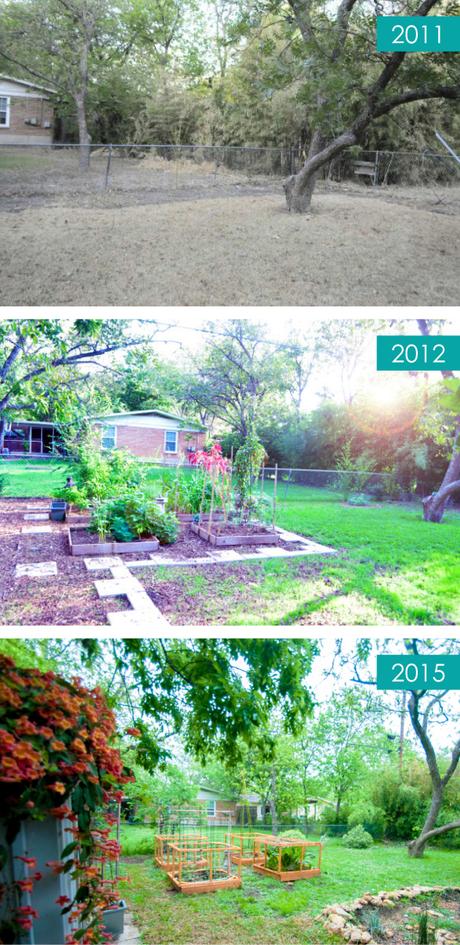backyard2011-2015