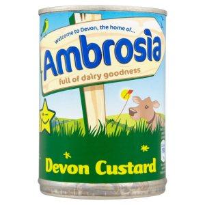 Strawberry rhubarb crumble served with hot Devon custard! My favorite English custard!