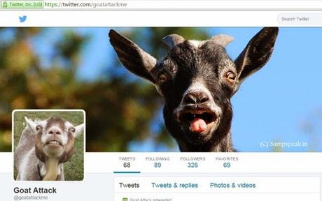 message prank .... ' goat attack' paid apps !! message prank .... ' goat attack' paid apps !!