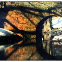Tiny Drops – Our Home Without Riverway Bridge with Duck