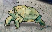 Editor of The Economist explains meaning of 2015 cover illustration turtle