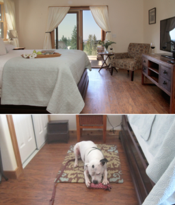 Norcal pet friendly Screen Shot 2015-05-03 at 8.37.21 AM
