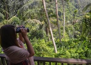 Rooms with Views: Hotels in Asia Bird Spotting, Best Hotel Views in Asia, Bali