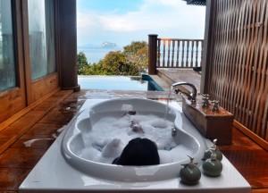 Rooms with Views: Hotels in Asia Sunken Bathtub, Best Hotel Room Views in Asia, Japan